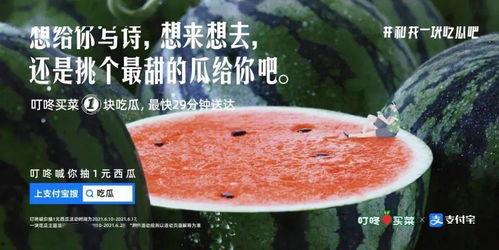 网红吃瓜文案怎么写,幕后故事与热点追踪