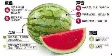 宿州网红吃瓜群微信,揭秘网络社交圈的趣味与争议