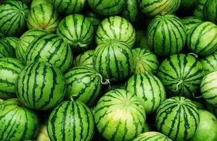 宿州网红吃瓜群微信,揭秘网络社交圈的趣味与争议