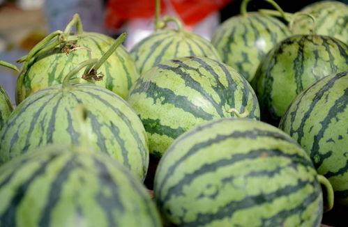越南网红吃瓜视频大全,趣味横生，笑料百出