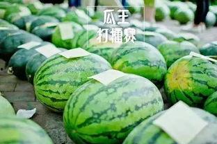 吃瓜王官网,带你领略网络娱乐新风向