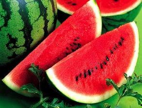 认真吃瓜网红图片高清,高清还原瓜界风云