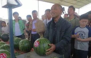 潮阳群众吃瓜网51,51吃瓜网，揭秘潮阳热点事件背后的真相