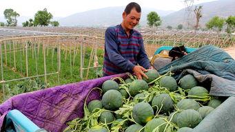 潮阳群众吃瓜网51,51吃瓜网，揭秘潮阳热点事件背后的真相