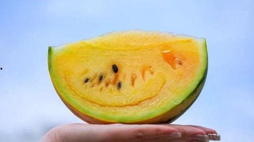 吃瓜官网免费吃瓜,吃瓜官网带你开启瓜界盛宴