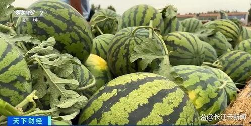 菏泽曹县网红吃瓜事件,一场网络舆论的发酵与反思