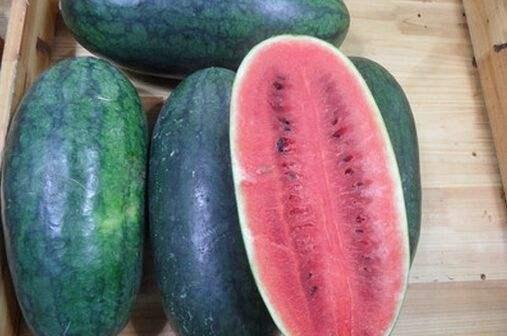 黑网料吃瓜网官分享,揭秘网络黑幕背后的真相