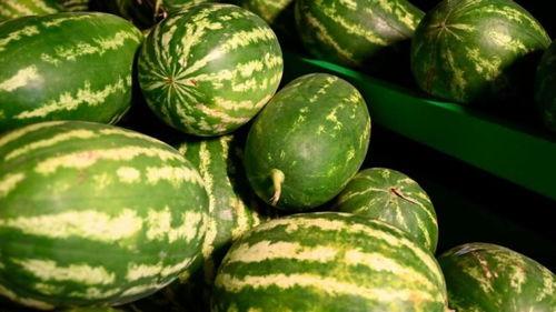 沂水吃瓜网红事件,网络舆论的风暴与反思