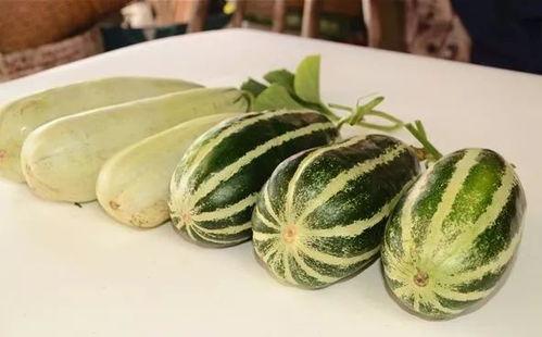 网红吃瓜打包图片大全,盘点那些搞笑又真实的打包图片大全