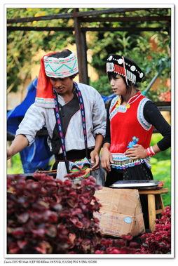 怒江傈僳族小伙吃瓜网,揭秘当地特色美食文化