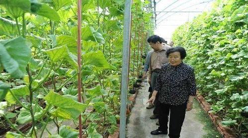 吃瓜网红黑料爆料是真的吗,真相揭秘