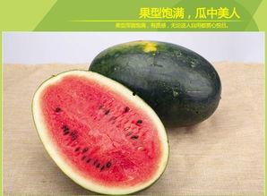 黑吃料吃瓜官网是啥,揭秘网络黑幕背后的真相