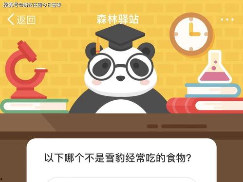 大熊的吃瓜日 百度网盘,揭秘百度网盘的趣味时光