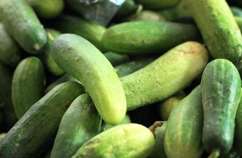 每日必吃大瓜网红大赛,瓜王争霸，笑料横生！