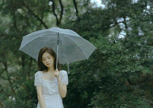 吃瓜视频手撕网红