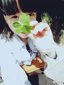 吃瓜视频手撕网红