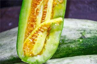 网红吃瓜网站在线,带你领略娱乐圈幕后风云