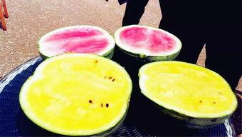 78吃瓜爆网,揭秘网络热点背后的真相与笑料