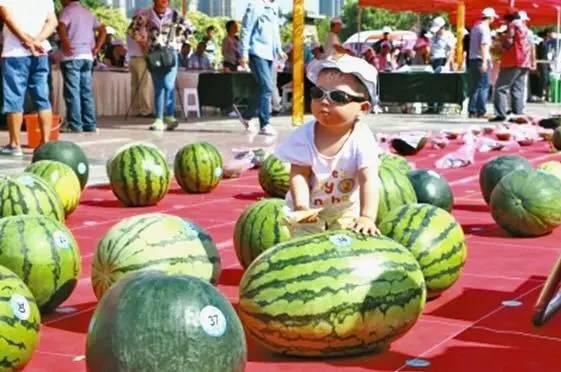 吃瓜网今日大赛,精彩对决，谁将脱颖而出？  第3张