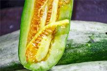 最真实网红吃瓜,揭秘网红吃瓜背后的真实故事  第3张