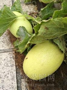 吃瓜趣事网,揭秘娱乐圈幕后故事,带你领略明星们的喜怒哀乐 第3张 吃瓜趣事网,揭秘娱乐圈幕后故事,带你领略明星们的喜怒哀乐 第3张