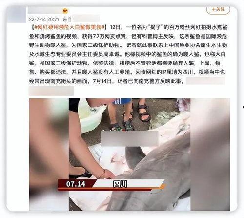 网红女吃瓜视频网站,揭秘热门视频网站背后的秘密  第1张