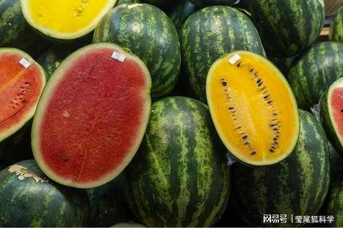 青田网红吃瓜事件真相  第2张