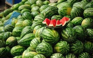 青田网红吃瓜事件真相  第3张