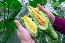 网红吃瓜中心  第3张