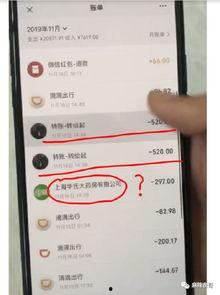 吃瓜转账网红叫什么,揭秘网红“吃瓜转账”背后的故事  第2张