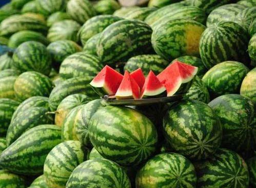 网红的吃瓜群怎么进的啊,如何轻松加入神秘社交圈  第3张