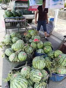 运城网红吃瓜事件,揭秘网络舆论背后的真相与争议  第3张