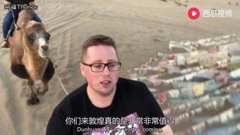 香港网红吃瓜视频在线观看,揭秘娱乐圈幕后故事  第2张