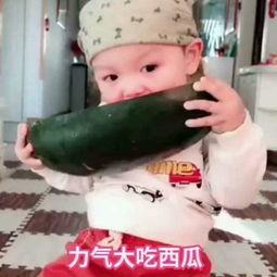 香港网红吃瓜视频在线观看,揭秘娱乐圈幕后故事  第3张