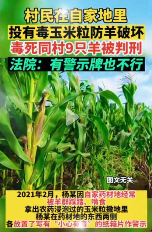 51网吃瓜网是合法的吗,揭秘网络舆论的边界