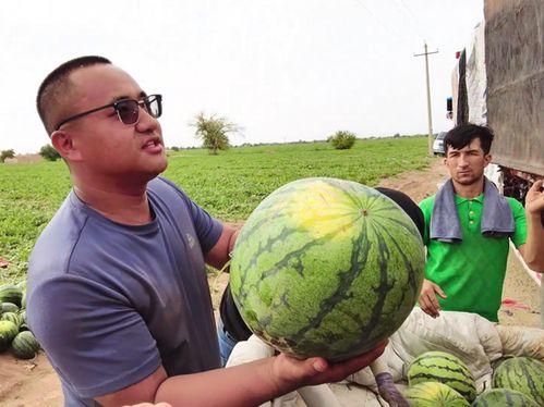 正能量网红吃瓜图片高清,正能量网红美食瞬间